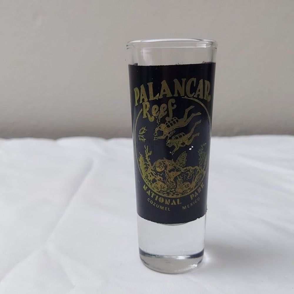 Palancar Reef National Park Cozumel Mexico Souvenir Tall Shot Glass Black & Gold